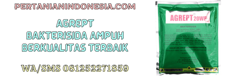 agrept,bakterisida,pestisida,patogen bakteri,agrept 20 wp,mastalin mandiri,pertanian indonesia
